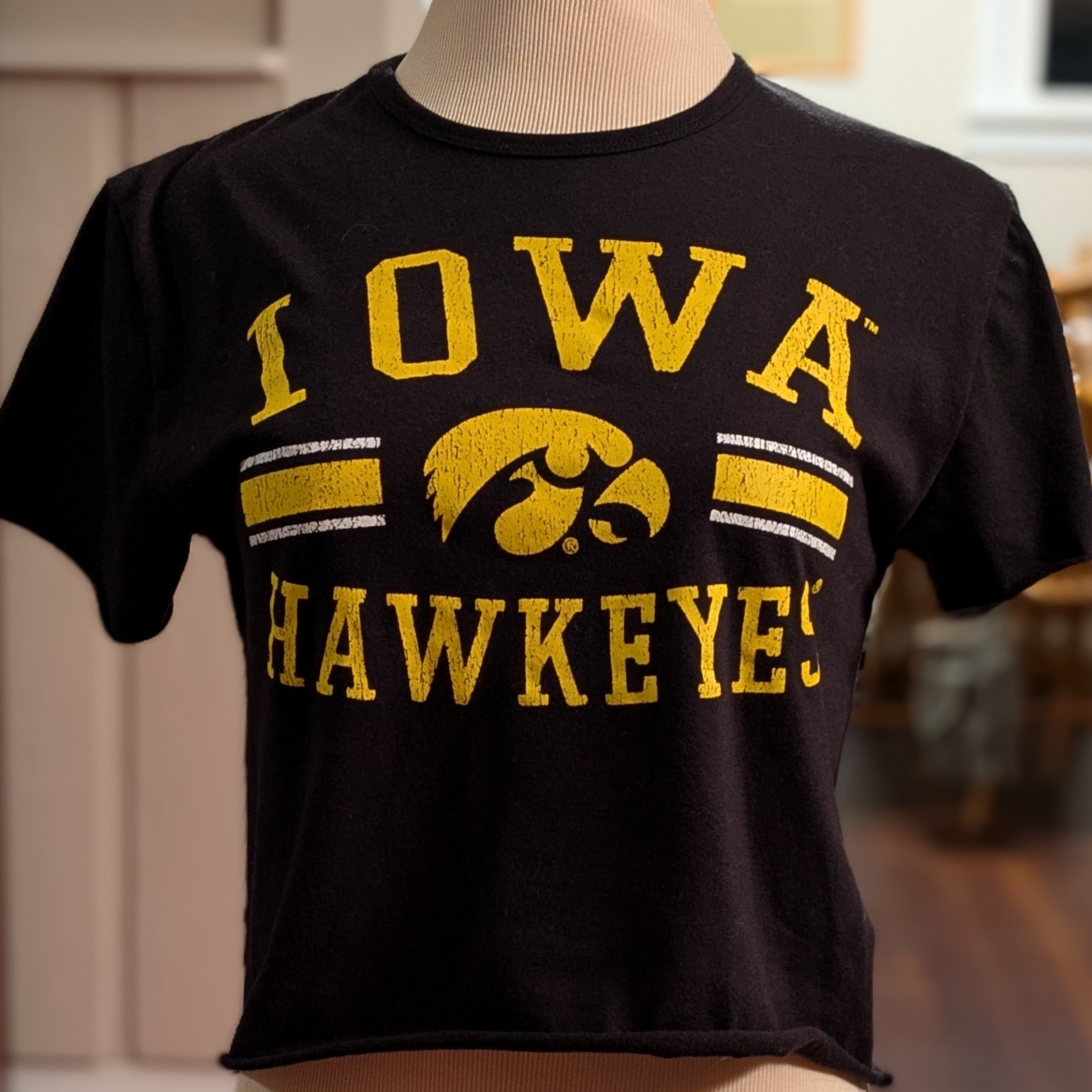 Iowa Hawkeyes Women's Black And Gold Crop Top